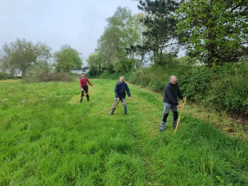Initiation à l’utilisation et l’entretien d’une faux à Plouarzel
