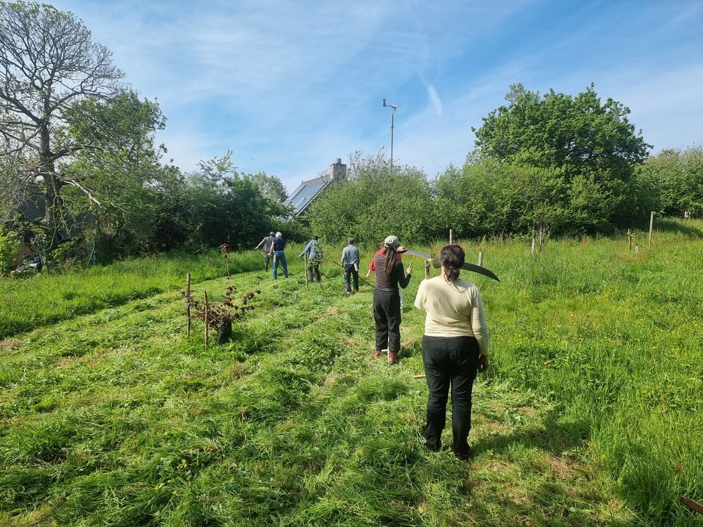 Séance de fauche commune à Louannec